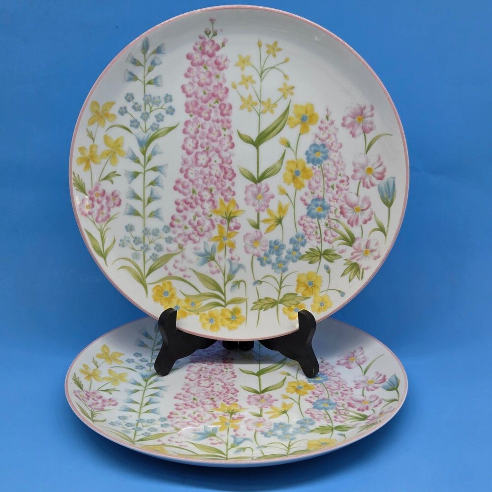 Jardin by Jennifer 10" Dinner plates Set of 2